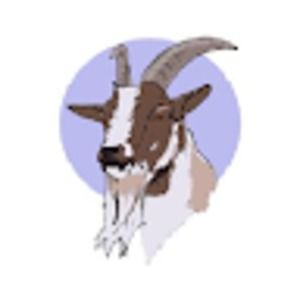 Meet your Posher, Loi